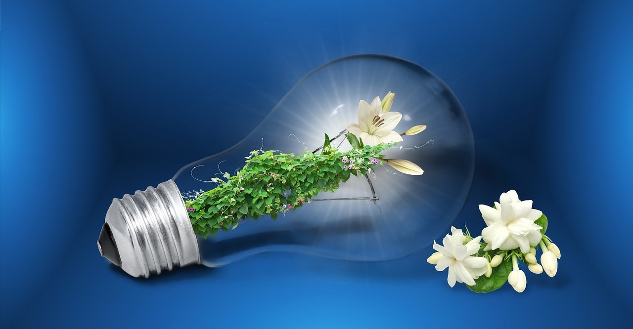 Casas eficientes y sostenibles construidas con módulos de entramado ligero de madera